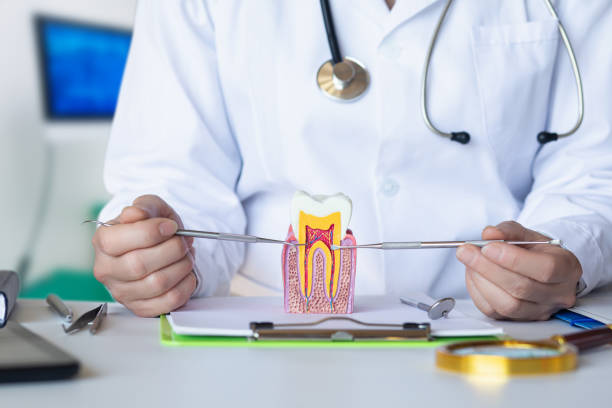 Best Emergency Treatment for Oral Infections in Brewer, ME
